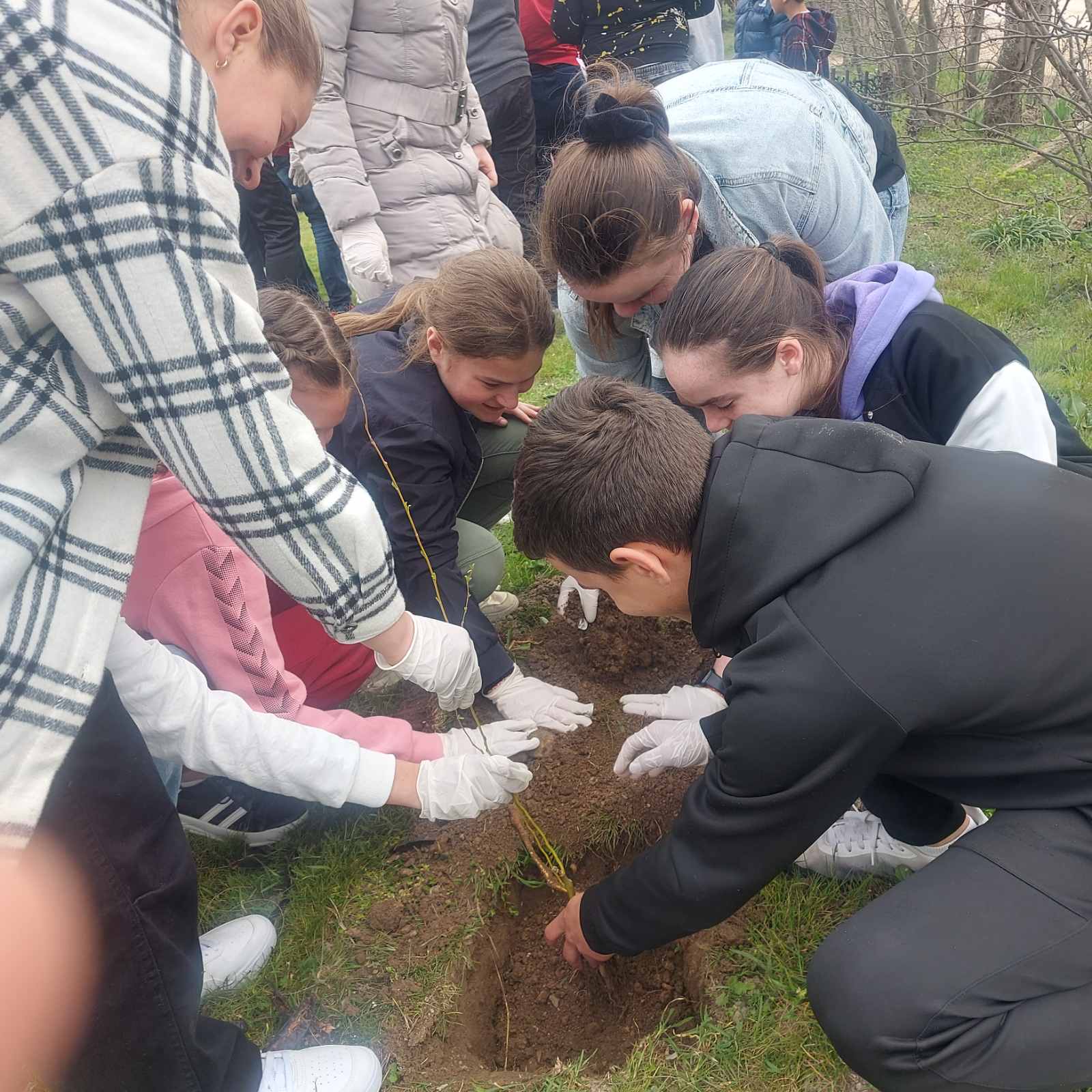 viber_image_2023-03-21_11-15-36-306