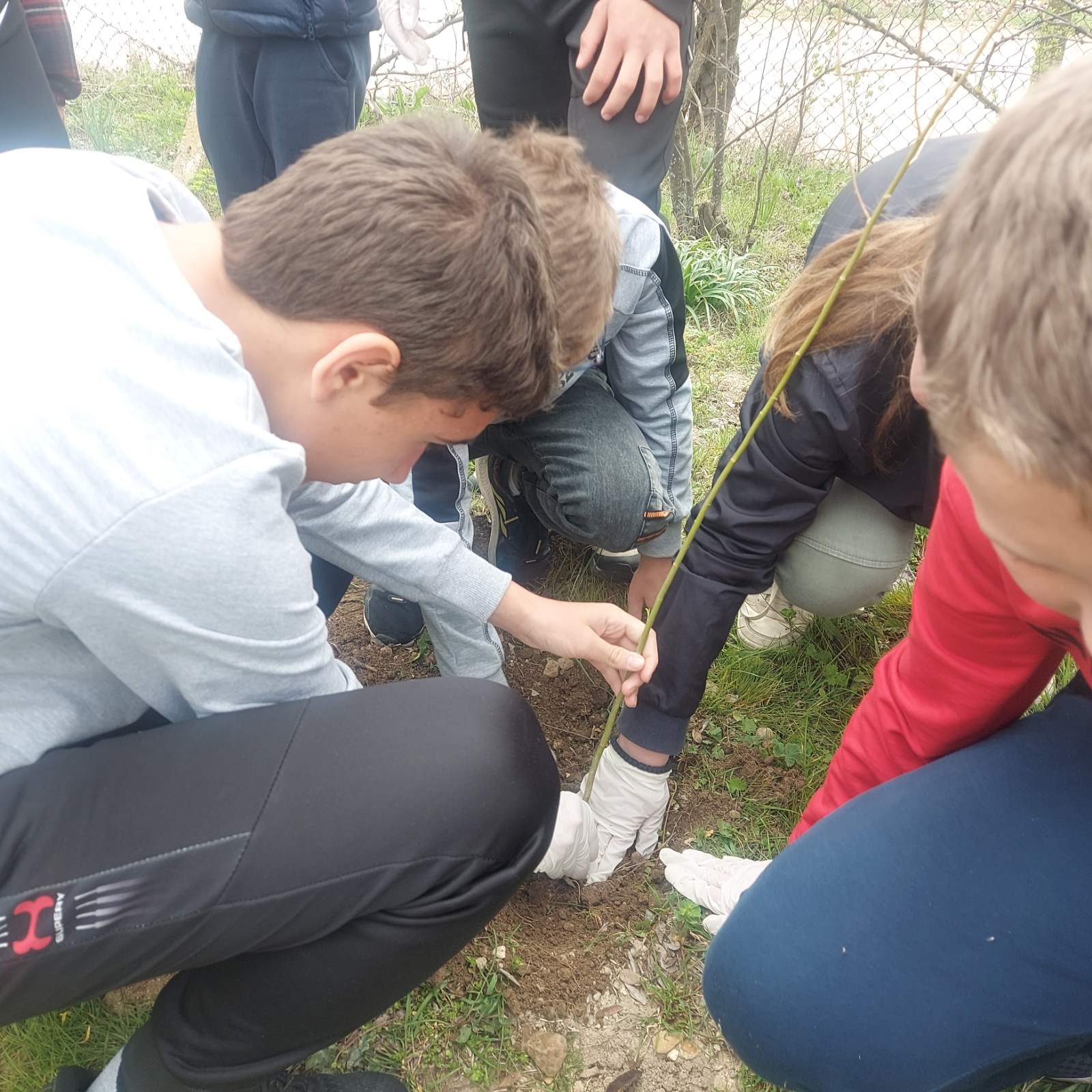 viber_image_2023-03-21_11-15-37-816