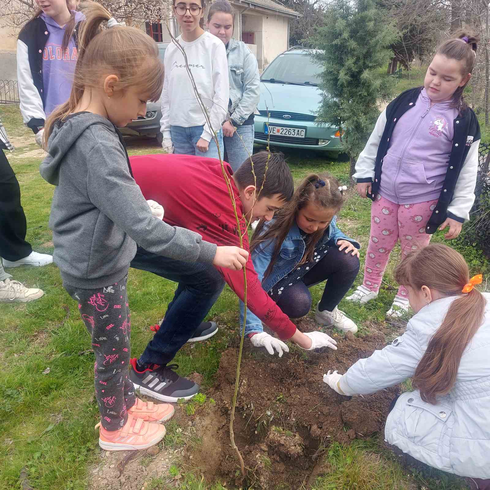 viber_image_2023-03-21_11-15-38-599